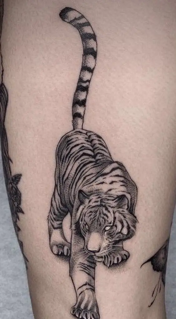 Tiger Tattoo 36+ Tiger Tattoo Designs for Men and Women in 2022