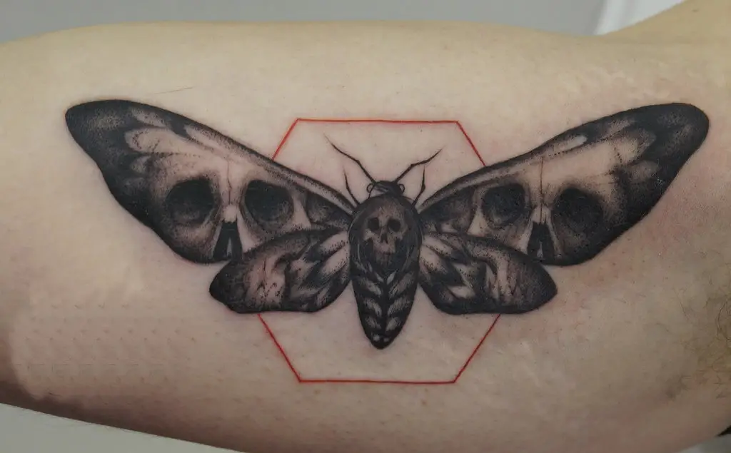Deaths Head Hawk Moth Tattoos 10 50+ Death Moth Tattoos That Will Leave You Breathless