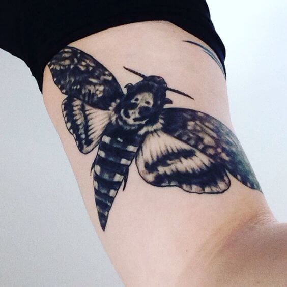 Deaths Head Hawk Moth Tattoos 7 50+ Death Moth Tattoos That Will Leave You Breathless
