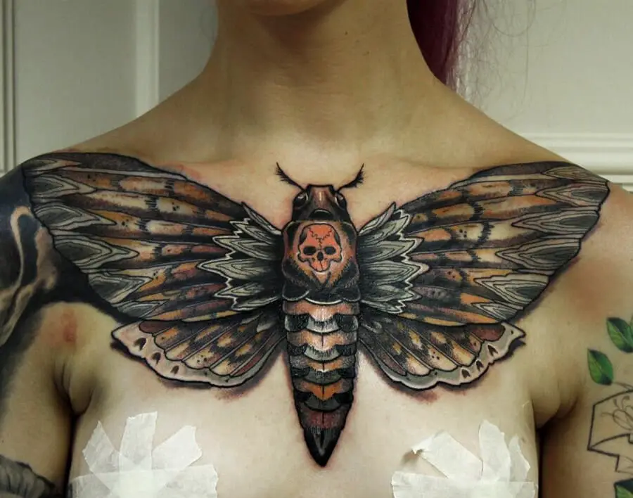 Deaths Head Hawk Moth Tattoos 9 50+ Death Moth Tattoos That Will Leave You Breathless