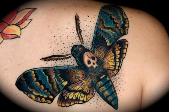 Deaths Head Hawk Moth Tattoos 50+ Death Moth Tattoos That Will Leave You Breathless