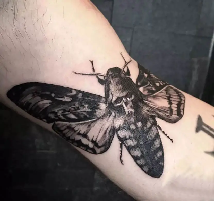 Realistic Death Moth Tattoos 5 50+ Death Moth Tattoos That Will Leave You Breathless