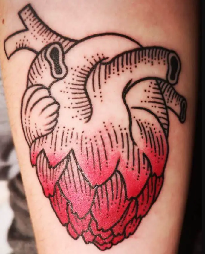 Artichoke Heart Tattoo 5 Artichoke Tattoo: Everything You Need To Know (30+ Cool Design Ideas)