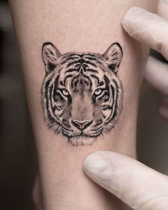 Cute Tiger Tattoos 2 36+ Tiger Tattoo Designs for Men and Women in 2022