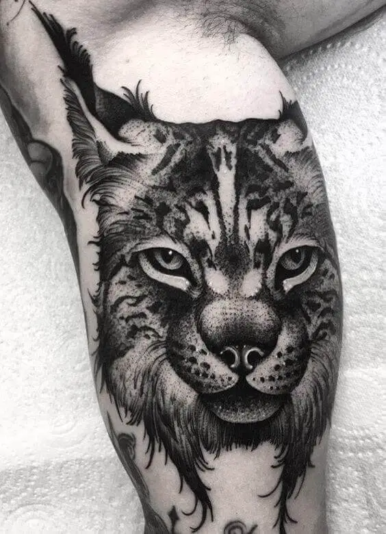 Lynx Head Tattoo 3 Lynx Tattoo: Everything You Need To Know (30+ Cool Design Ideas)