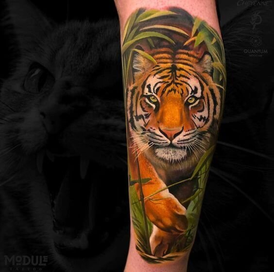 Realistic Tiger Tattoo 2 36+ Tiger Tattoo Designs for Men and Women in 2022