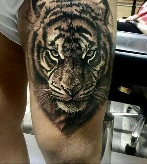 Thigh Tiger Tattoo 3 36+ Tiger Tattoo Designs for Men and Women in 2022