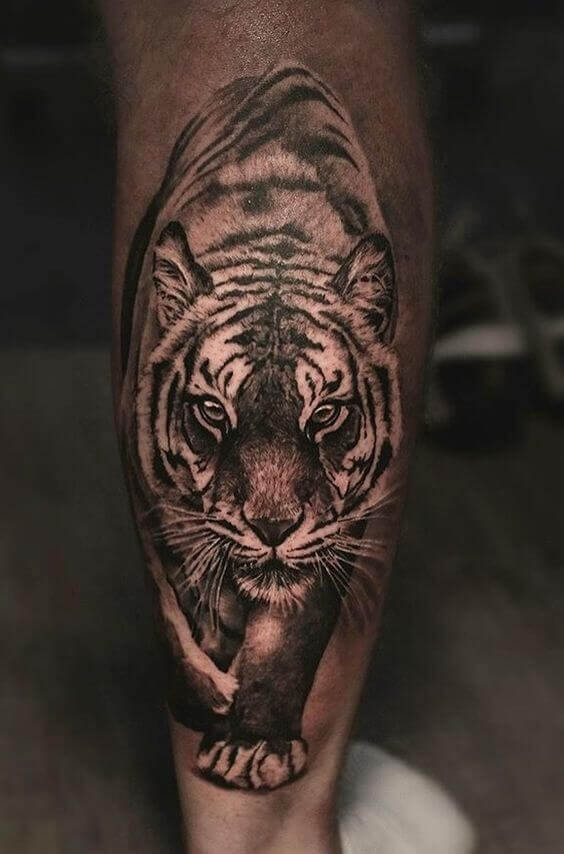 Tiger Calf Tattoo 2 36+ Tiger Tattoo Designs for Men and Women in 2022