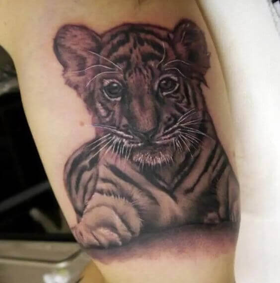 Tiger Cub Tattoo 2 36+ Tiger Tattoo Designs for Men and Women in 2022