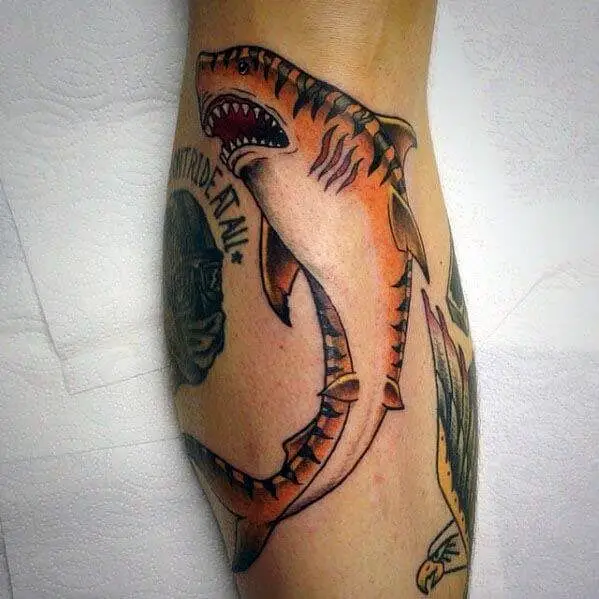 Tiger Shark Tattoo 4 36+ Tiger Tattoo Designs for Men and Women in 2022