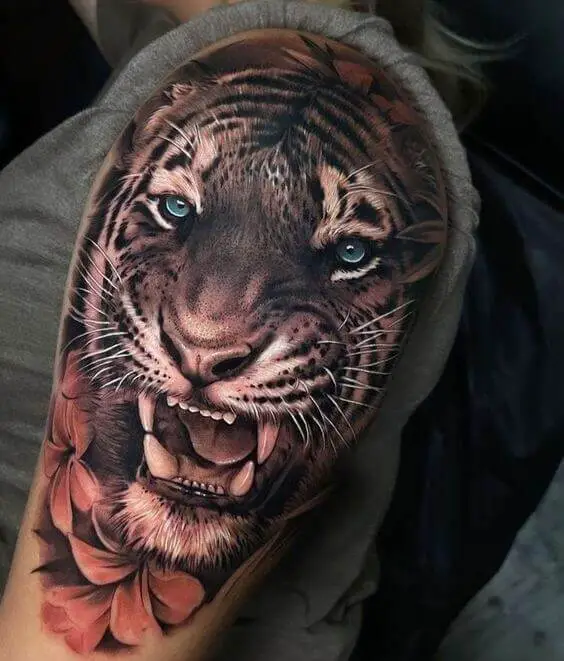 Tiger Shoulder Tattoo 5 36+ Tiger Tattoo Designs for Men and Women in 2022