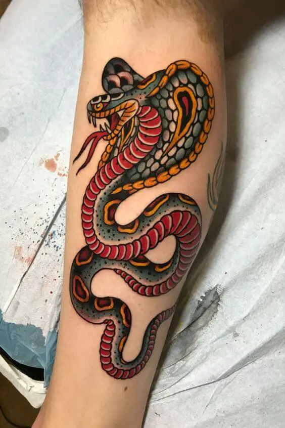 Traditional Snake Tattoo Traditional Tattoos (100+ Inspiration Tattoos)