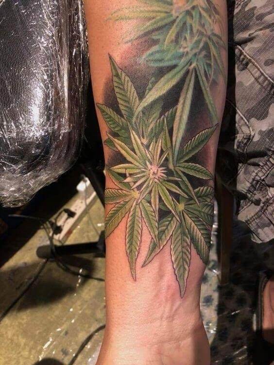 Weed Plant Tattoo 1 100+ Amazing Weed Tattoo Ideas That Will Get You High