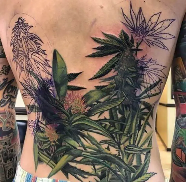 Weed Plant Tattoo 3 100+ Amazing Weed Tattoo Ideas That Will Get You High