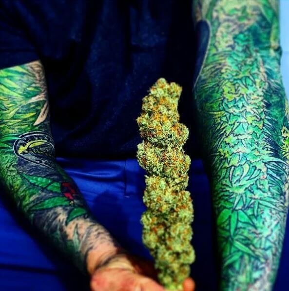 Weed Sleeve Tattoo 3 100+ Amazing Weed Tattoo Ideas That Will Get You High