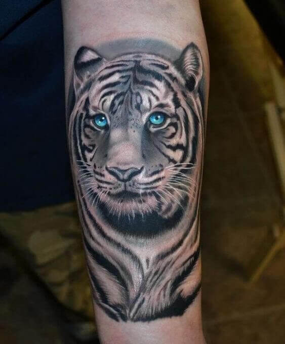 White Tiger Tattoo 3 36+ Tiger Tattoo Designs for Men and Women in 2022