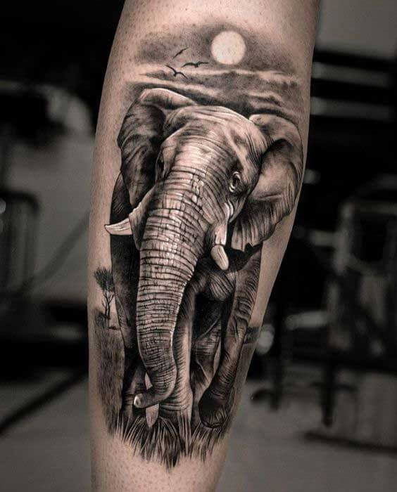 Elephant Tattoo On Arm 4 Creative & Classy Half Sleeve Tattoo Ideas for Women in 2022