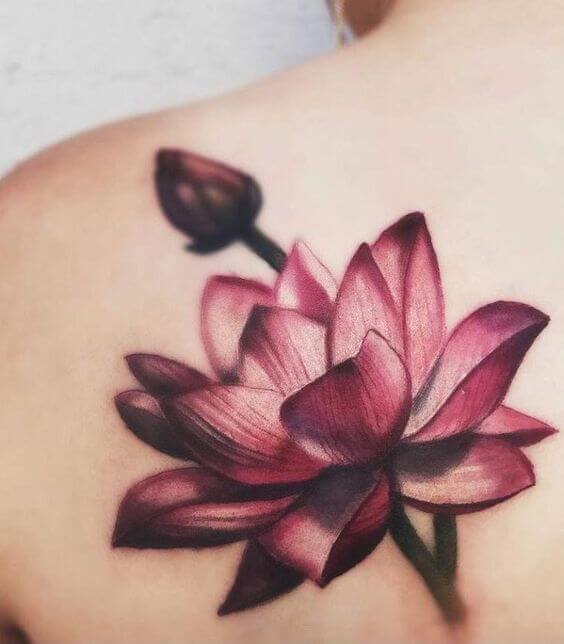 Realistic Lotus Flower Tattoo 30+ Best Lotus Flower Tattoo Design Ideas (Meaning And Inspiration)