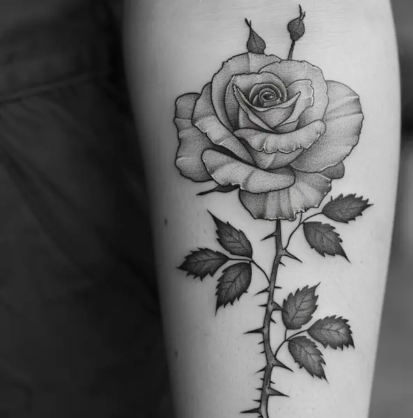 Black Rose with Thorns 1 5 Stunning Black Rose Tattoo Designs for a Bold Statement in 2024